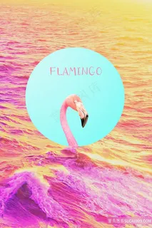 北欧火烈鸟插画