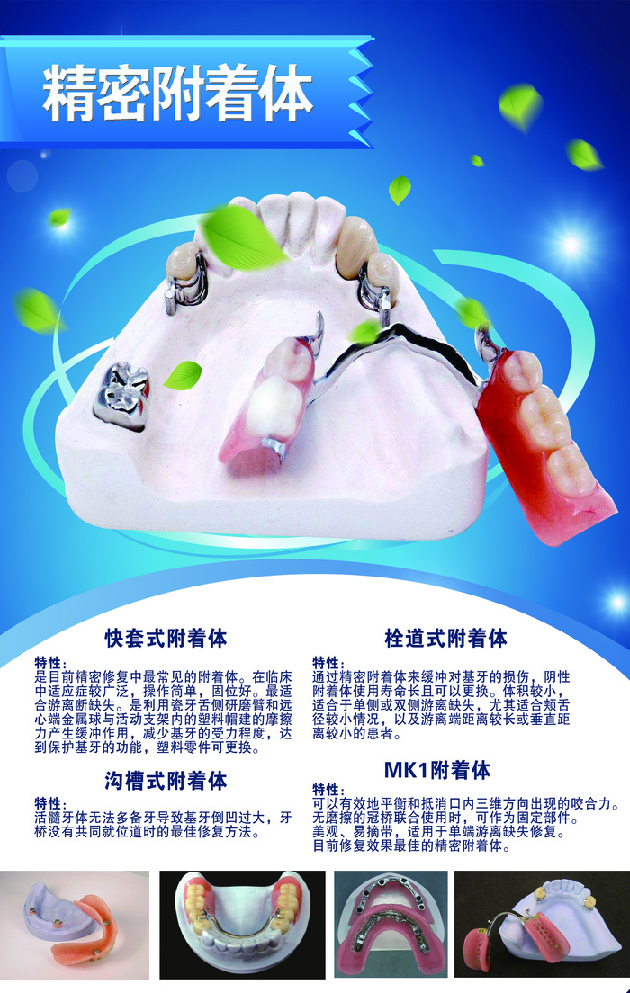 精密附着体口腔|医院|展板|制度|口腔医院展板psd模版下载