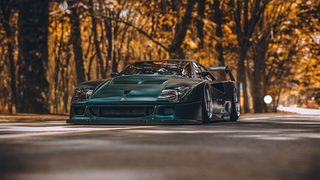 秋天秋日树落叶跑车汽车高清背景