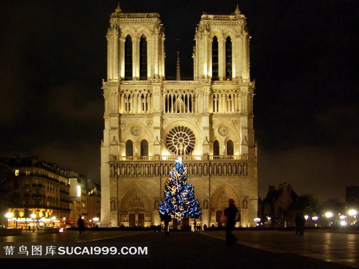 巴黎圣母院夜景
