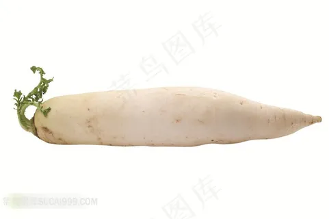 白萝卜高清设计素材