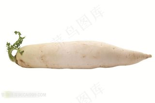 白萝卜高清设计素材