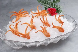 LCH0101冰镇八爪鱼