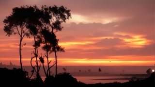 大气写意色块风景插画壁纸背景-晚霞下的岛屿与树