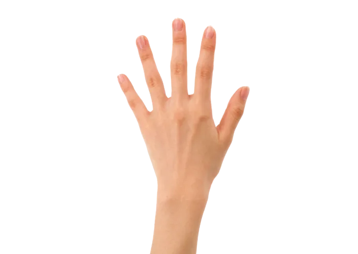 手势五指打开免抠png