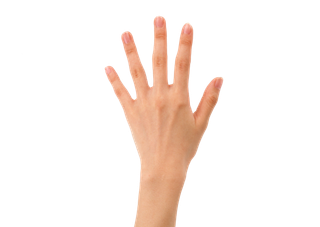 手势五指打开免抠png