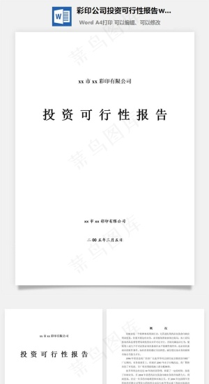 彩印公司投资可行性报告word文档