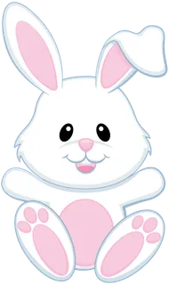 粉红兔兔子兔年