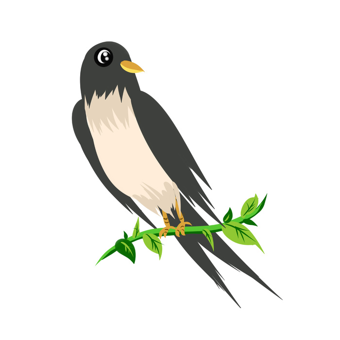 水彩手绘春季春天柳树柳条枝条小鸟小燕子元素PSD设计素材PNG图片