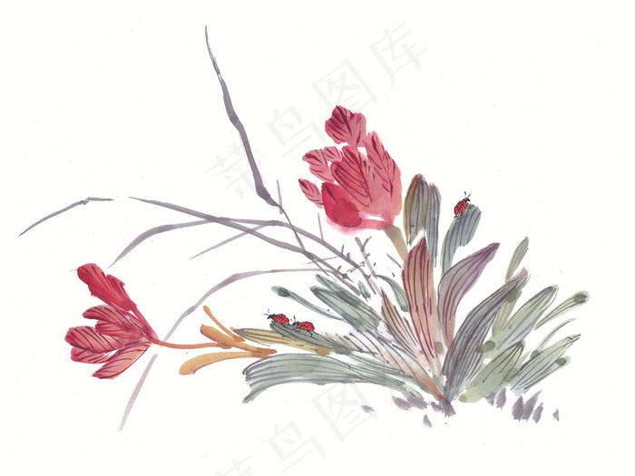 昆虫花草高清jpg素材