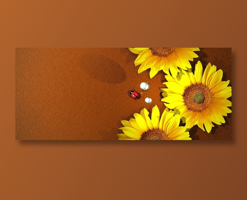 向日葵棕色背景图片