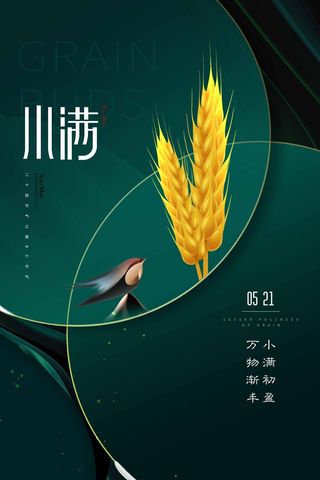 小满 小满促销海报