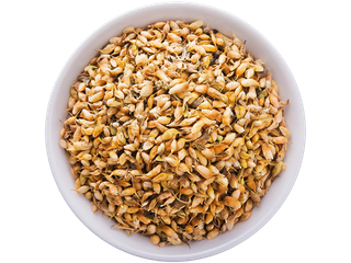 43葫芦巴籽超市商品白底图免抠实物摄影png格式图片透明底