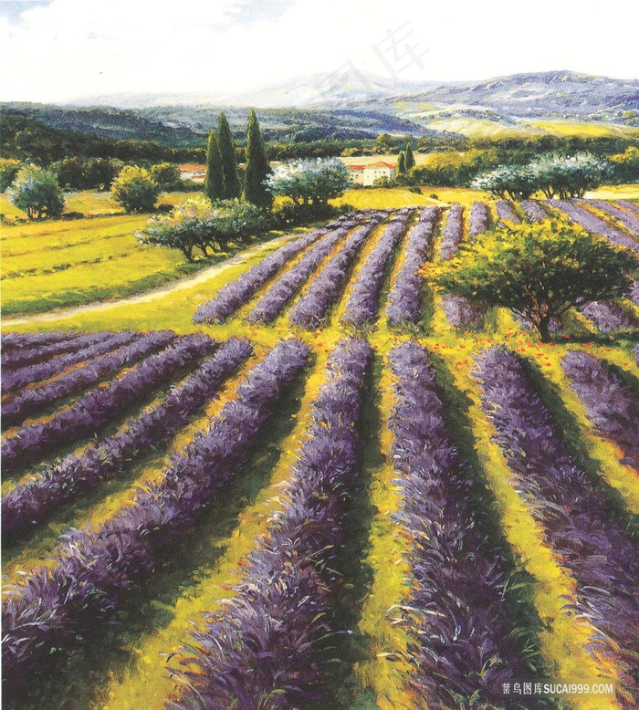 紫色花卉花圃油画