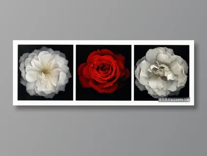 玫瑰花朵时尚插画