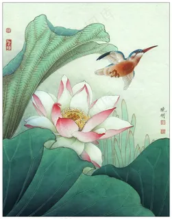 菡萏新花荷花工笔画