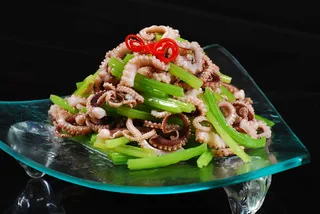 CXC00173碧绿章鱼须