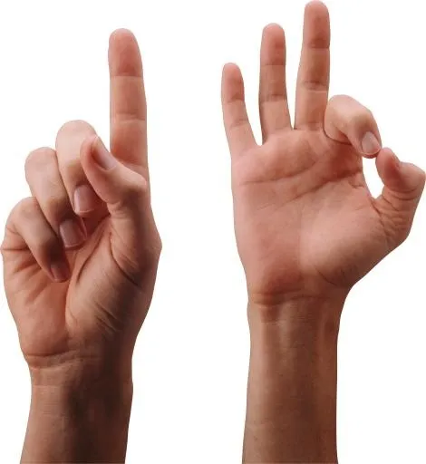 手 PNG 图像免抠(3392x3695)