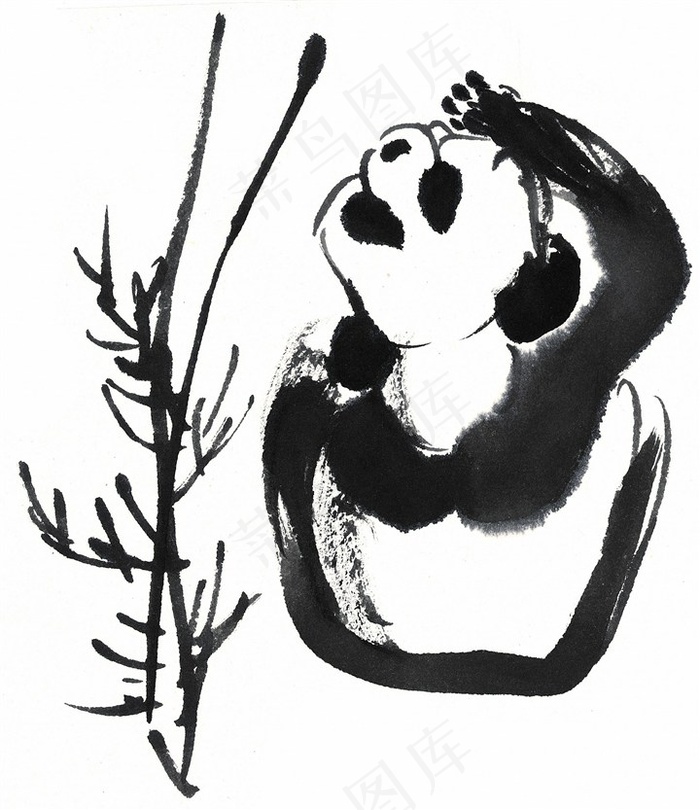 家畜工笔摄影图片