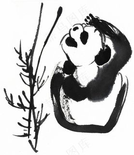 家畜工笔摄影图片