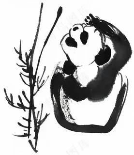 家畜工笔摄影图片 家畜工笔摄影图片
