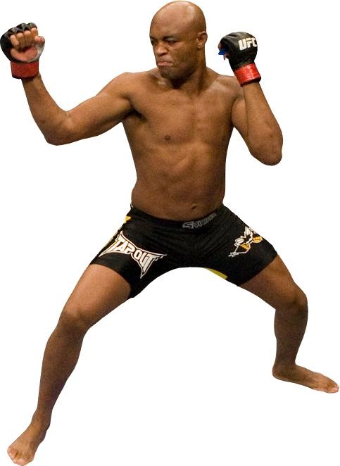 综合格斗 PNG, MMA PNG免抠(483x662)