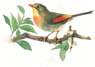 树枝上的漂亮小鸟素材手绘插画