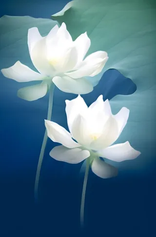 荷花荷叶蓝色背景