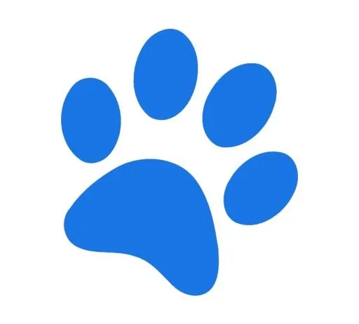 爪子 PNG免抠(800x722)