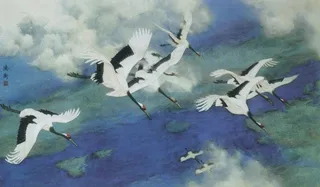 鹤图片素材设计