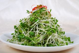 0911LCS-730炝拌萝卜苗