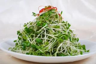 0911LCS-730炝拌萝卜苗