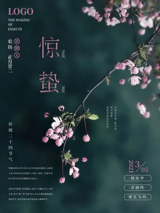 24二十四节气中国风创意惊蛰节日宣传海报模板PSD设计素材