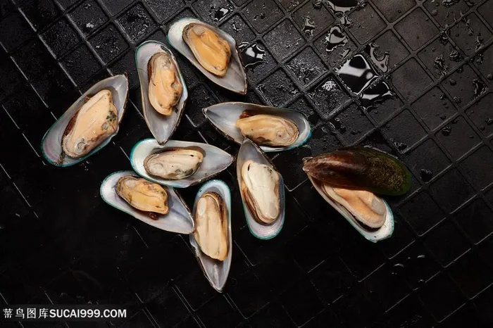 精美的海鲜蛤蜊食物高清图片