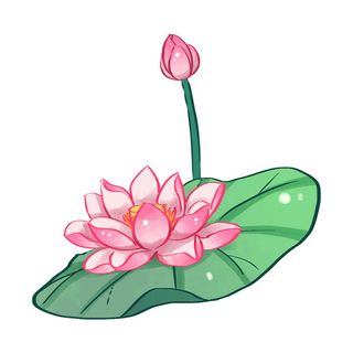 国潮中国风手绘荷花莲花荷叶莲藕植物花卉装饰插画PSD设计素材