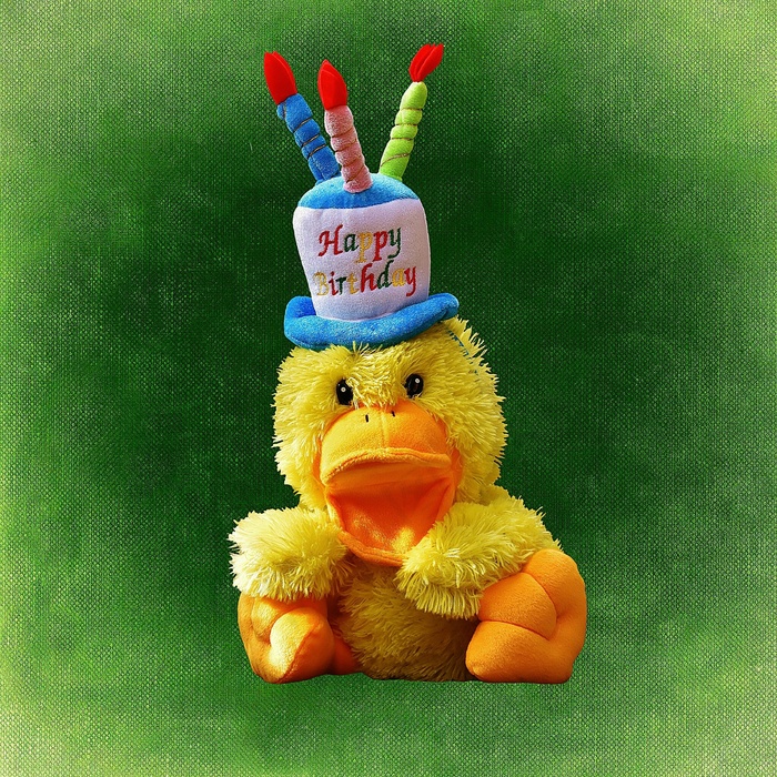 生日快乐布娃娃图片