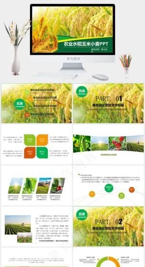 农业水稻玉米小麦农产品推广PPT模板预览图