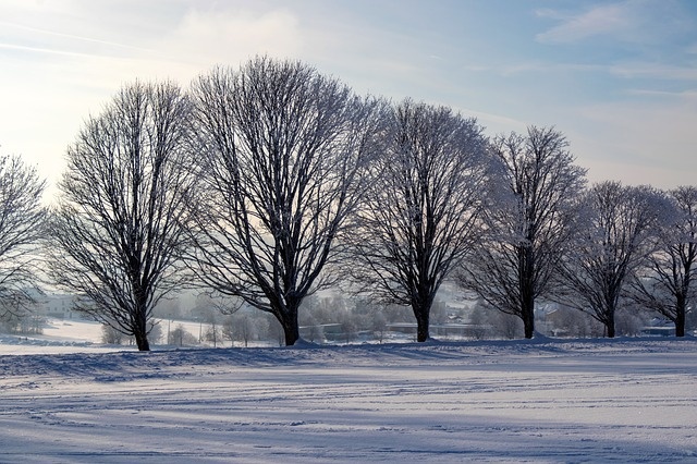 冬天白雪背景风景