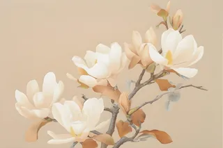 花朵白色国风简约背景