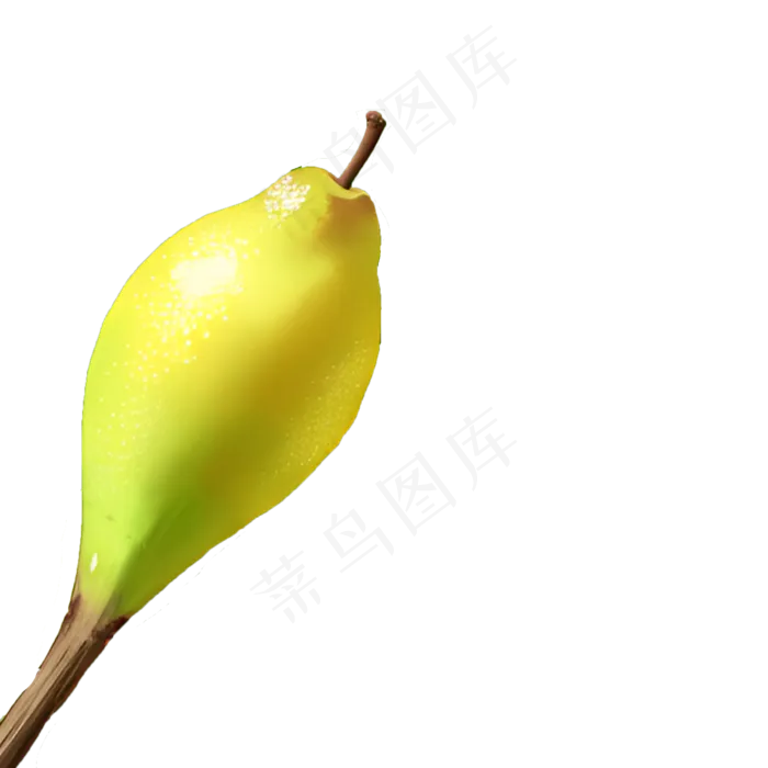 黄色免抠手绘素材PNG正在成熟的梨