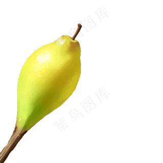 黄色免抠手绘素材PNG正在成熟的梨