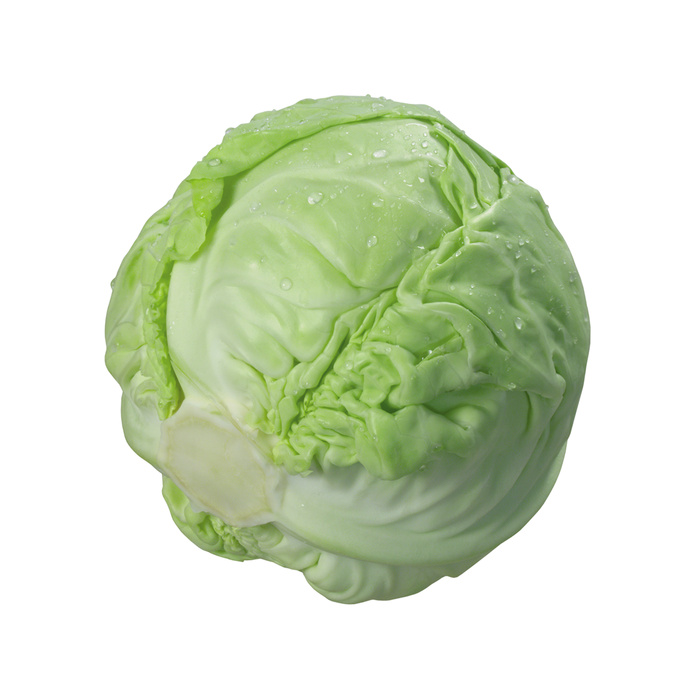 免抠包菜卷心菜实物摄影图片