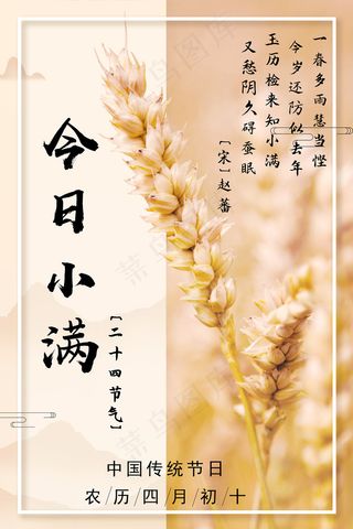 手绘24传统节气小满节日海报