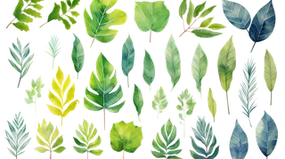 水彩画叶子绿色插画免抠