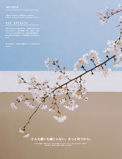 文艺清新海报模板日系排版11