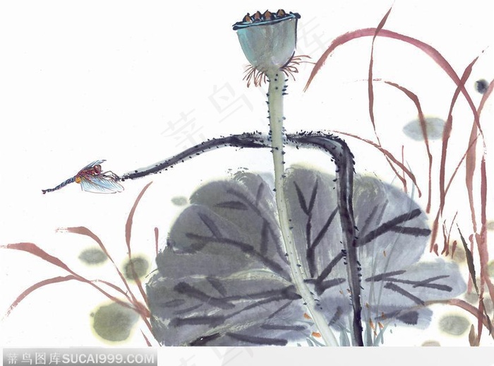 水墨画蜻蜓图