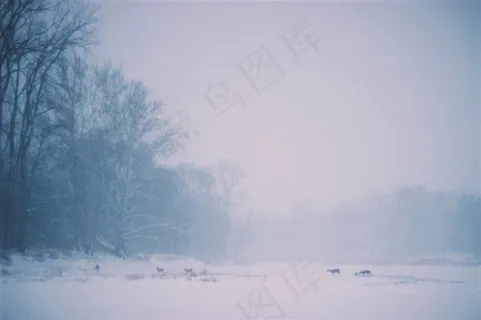 大自然的雪高清素材图片 大自然的雪高清素材图片