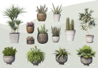 绿叶盆栽花盆绿植PSD大全合-3