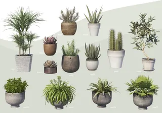 绿叶盆栽花盆绿植PSD大全合-3