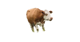 合成所需奶牛元素